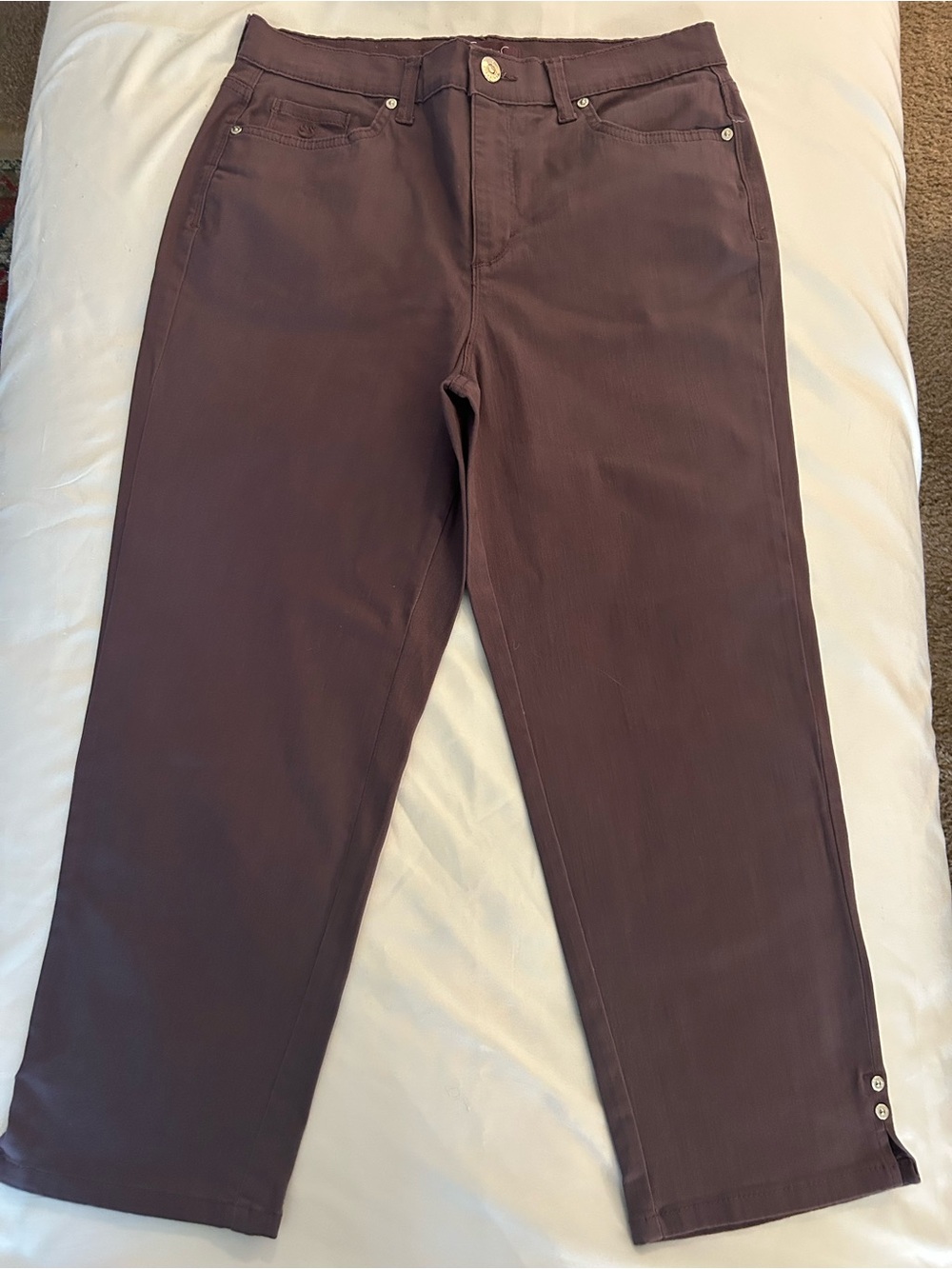 Gloria Vanderbilt Straight-Leg Chinos in Plum